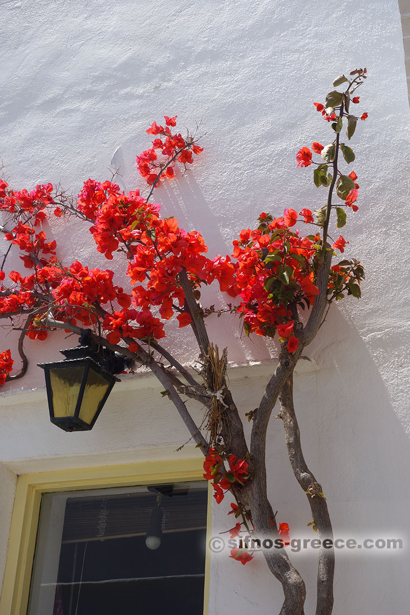 Ein Spaziergang rund um das Dorf von Artemonas